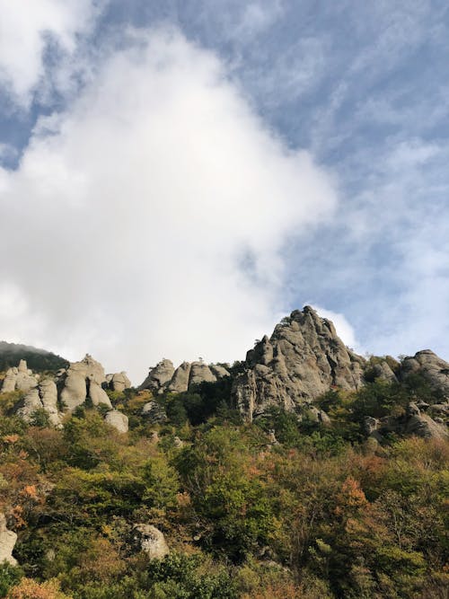 Rocky cliffs covered with lush greenery under cloudy blue sky