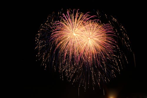 Pink and Yellow Fireworks Display