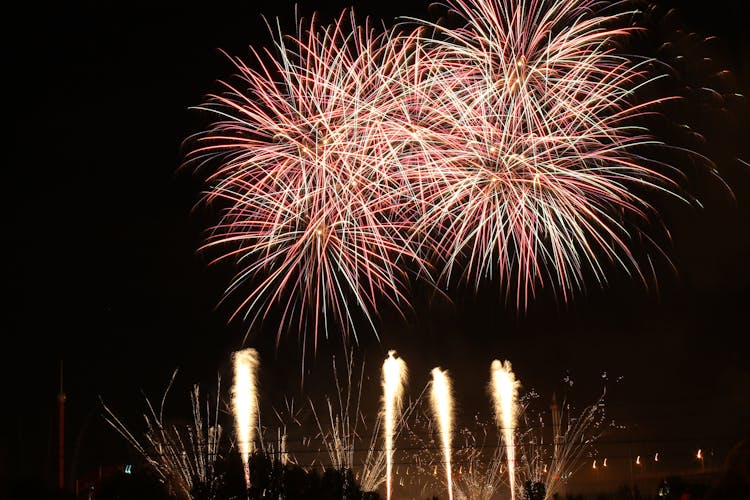 Fireworks Display During Night Time