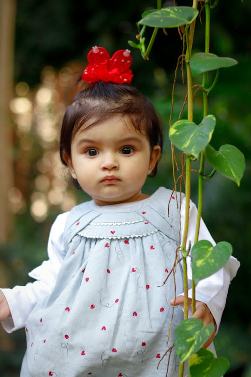 Free Baby Girl in White Long Sleeve Dress with Red Ribbon on Hair Standing Beside a Plant Stock Photo