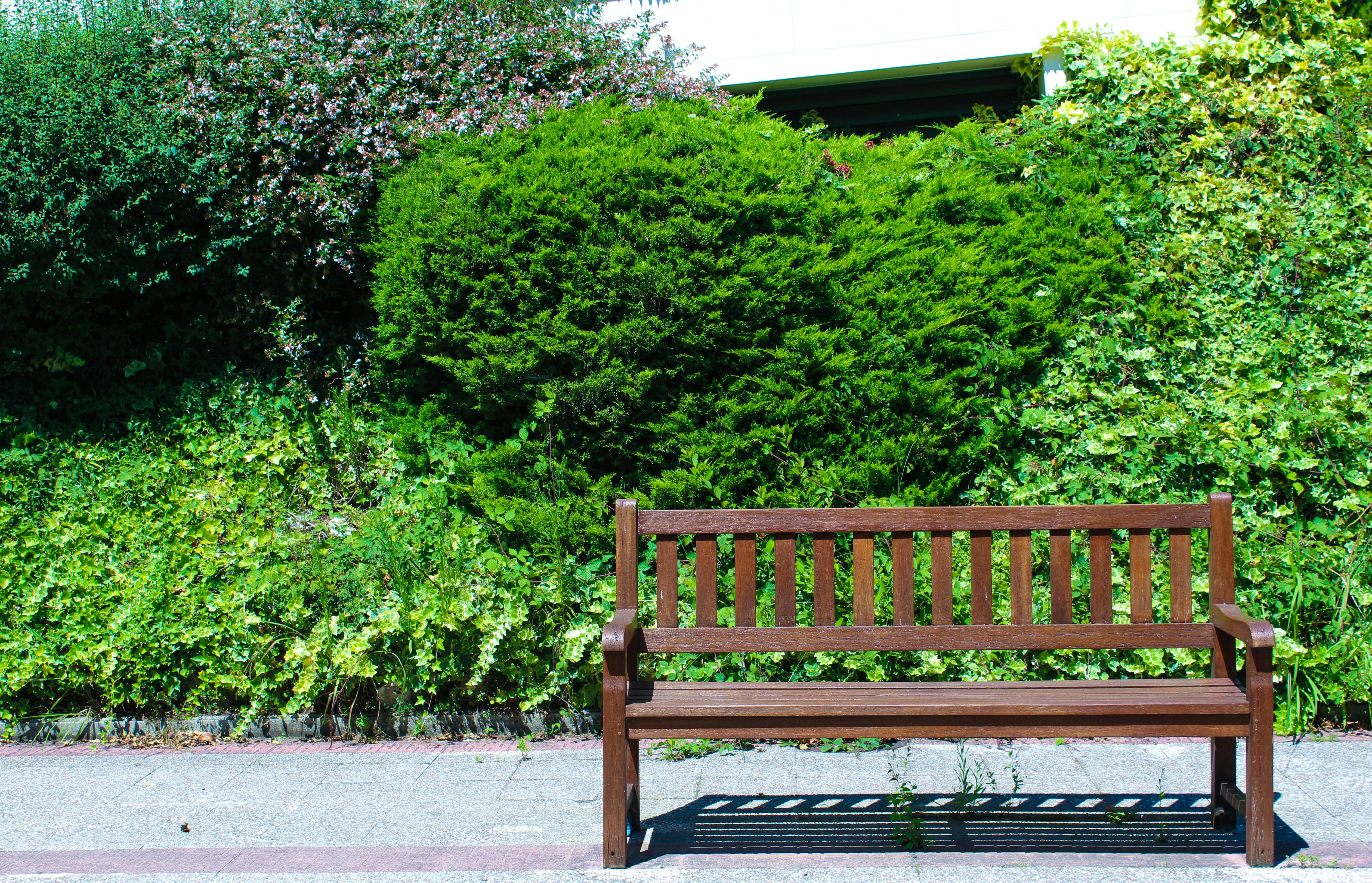 Free stock photo of bench, brown, colors