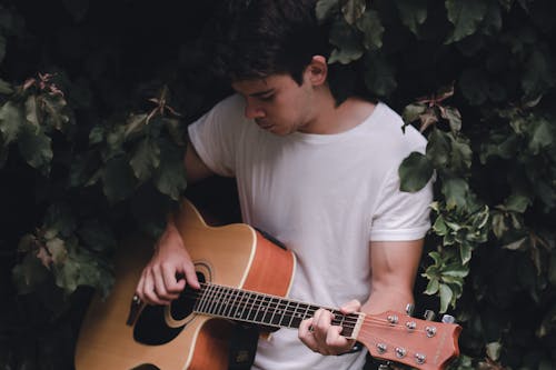 Focused guitarist playing guitar sitting among green leaves