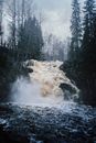 Waterfalls in the Middle of the Forest