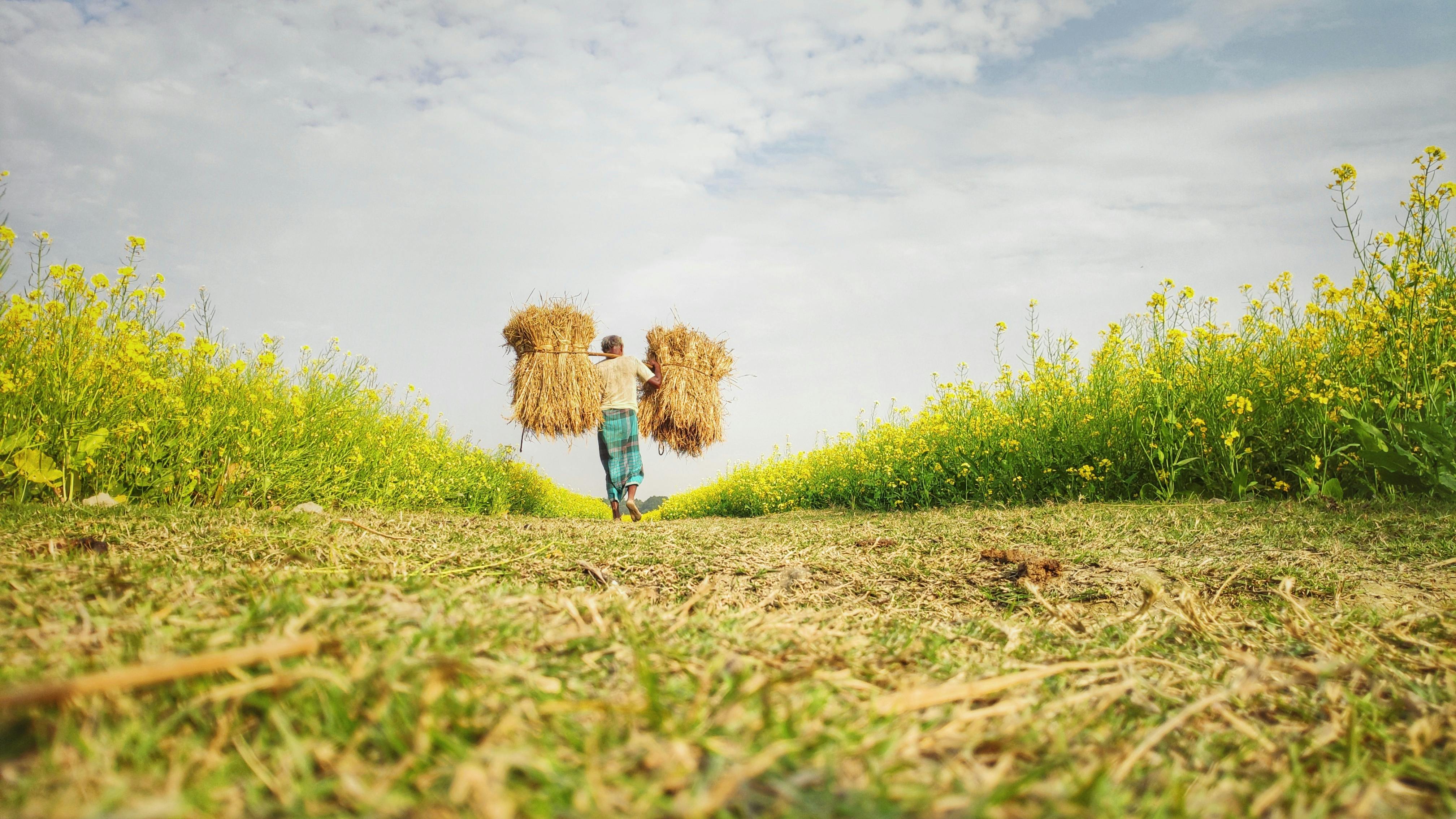 Interesting Facts about Bangladesh: History, Culture, Travel