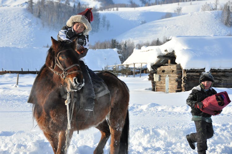 Boy Riding A Horse In A Countryside In Winter