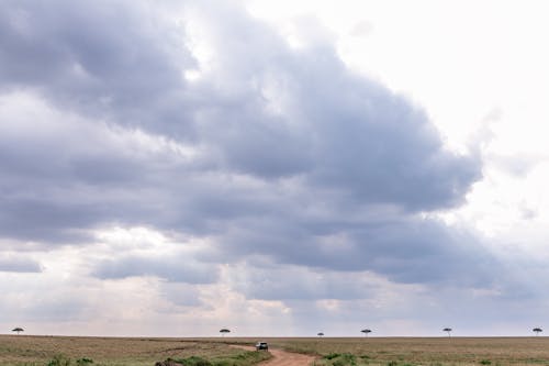 Automobile on narrow roadway between grassland under sky with fluffy clouds and sunlight
