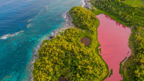 Free Stunning aerial shot of Bermuda's coastline with lush greenery and vibrant waters. Stock Photo