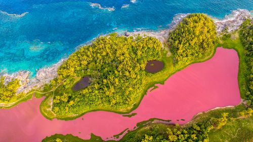 Free Stunning aerial photo of a pink lake nestled by blue ocean waters and lush green forest. Stock Photo