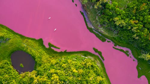 ドローン撮影, ピンクの水, 唾液池の無料の写真素材