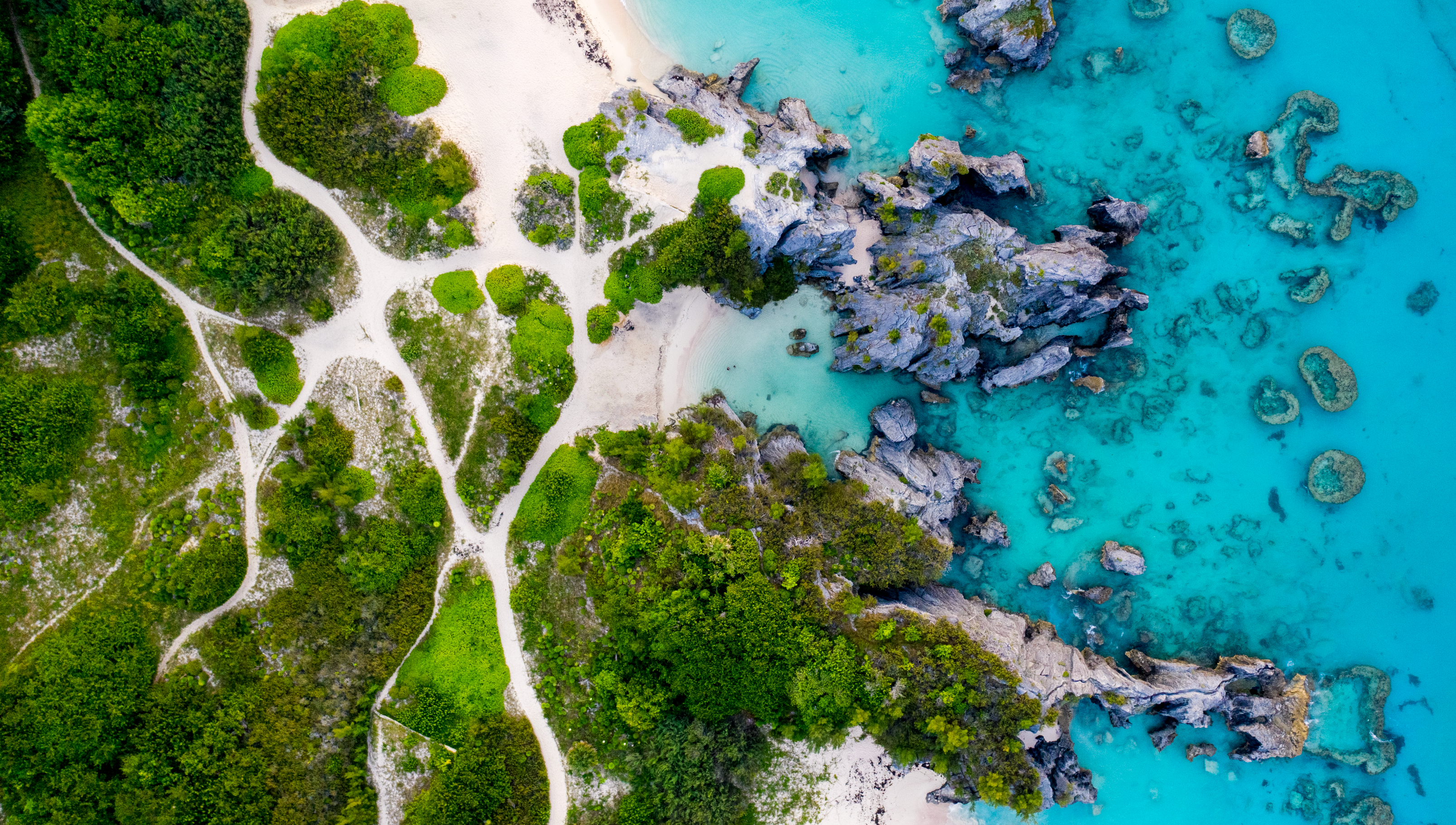 Stunning aerial view of Bermuda's coastline with clear waters, reefs, and lush greenery.