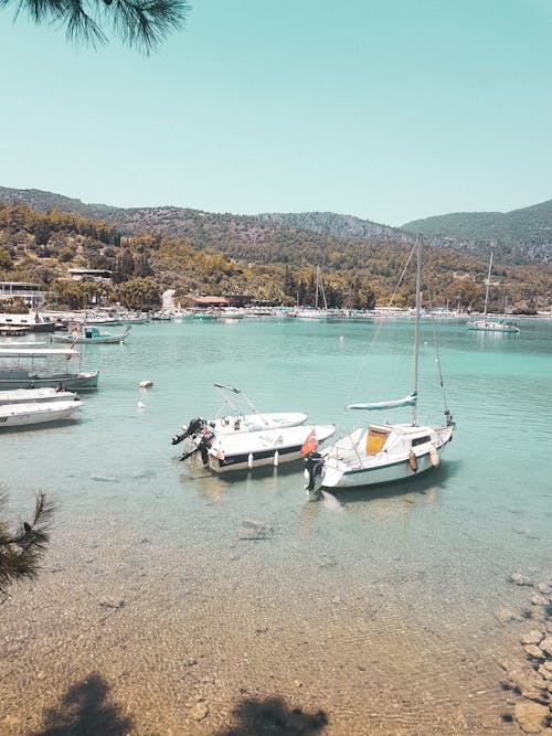 White Boats on Sea Shore