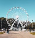 People Walking on Park With White Ferris Wheel Under Blue Sky