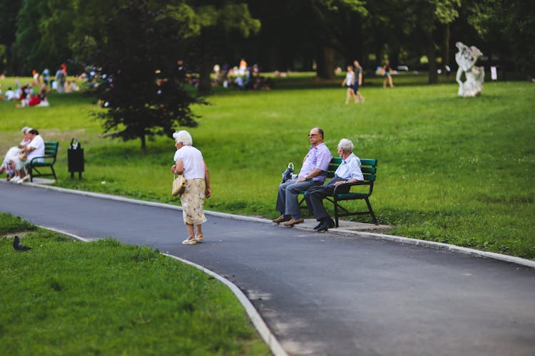 Seniors In The Park