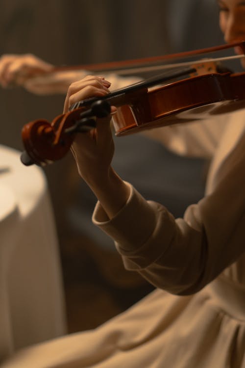 インドア, ヴァイオリニスト, お祝いの無料の写真素材