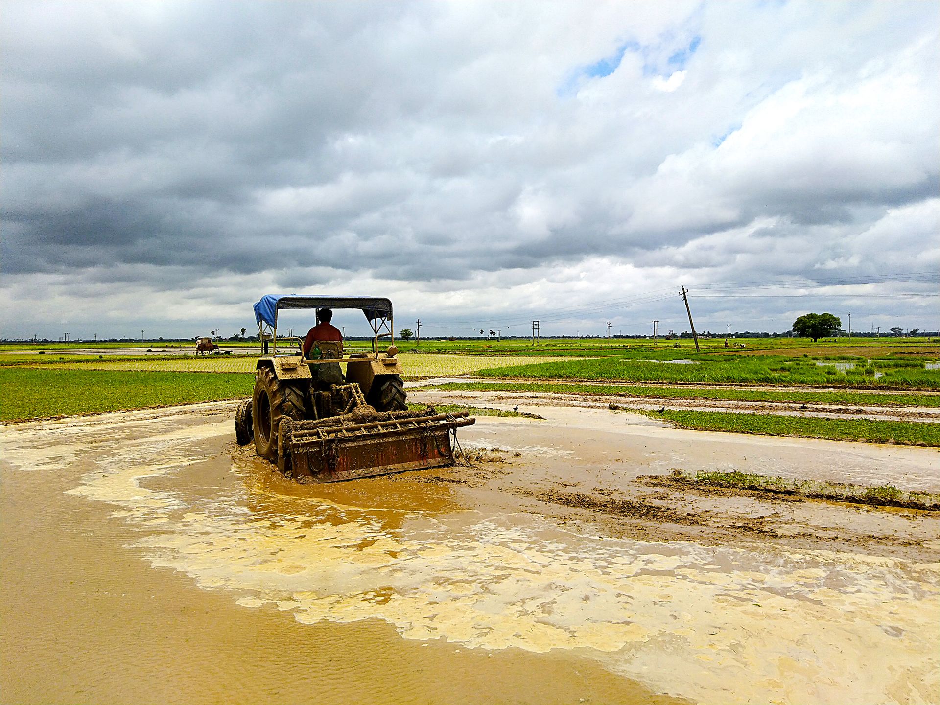 Tractor working on muddy farmland showcasing rural agricultural scene