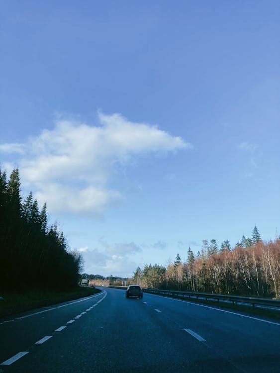 Asphalt road through green forest in countryside