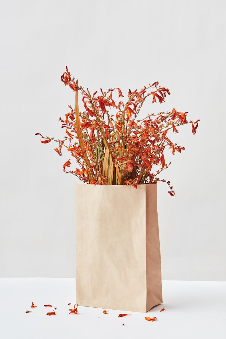 Dried Orange Flowers In Brown Paper Bag