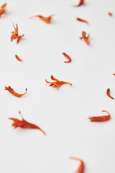 safflower flowers