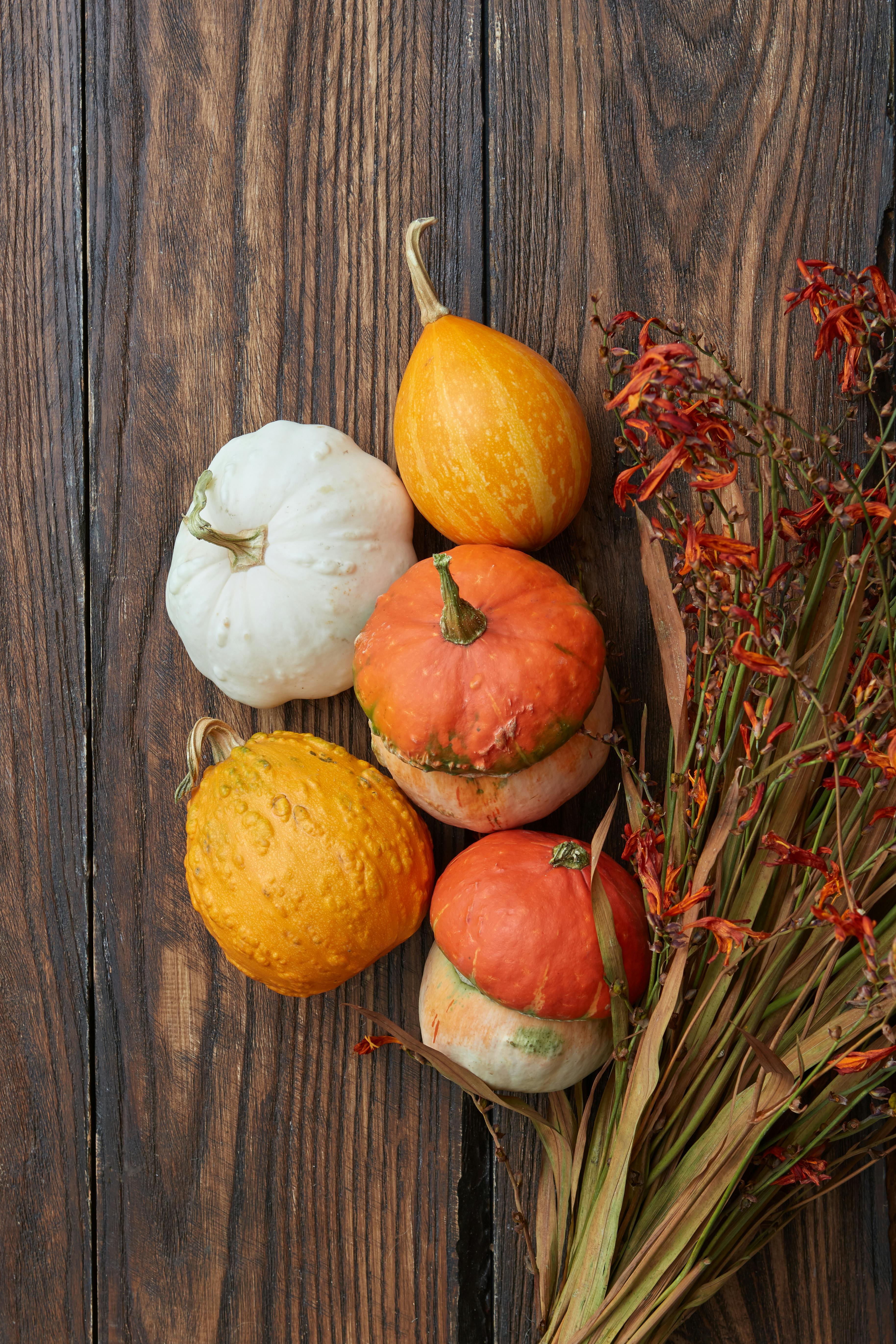 Gratuit Photos gratuites de #intérieur, arrangement floral, automnal Photos