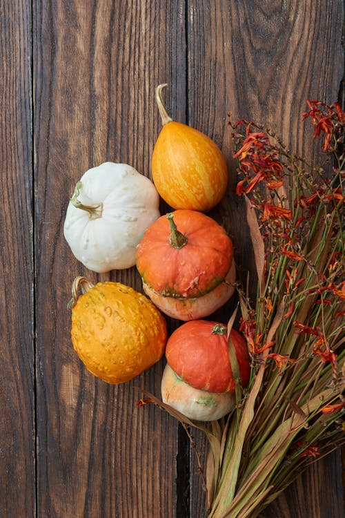 Foto profissional grátis de abóboras, alimento, cabaça