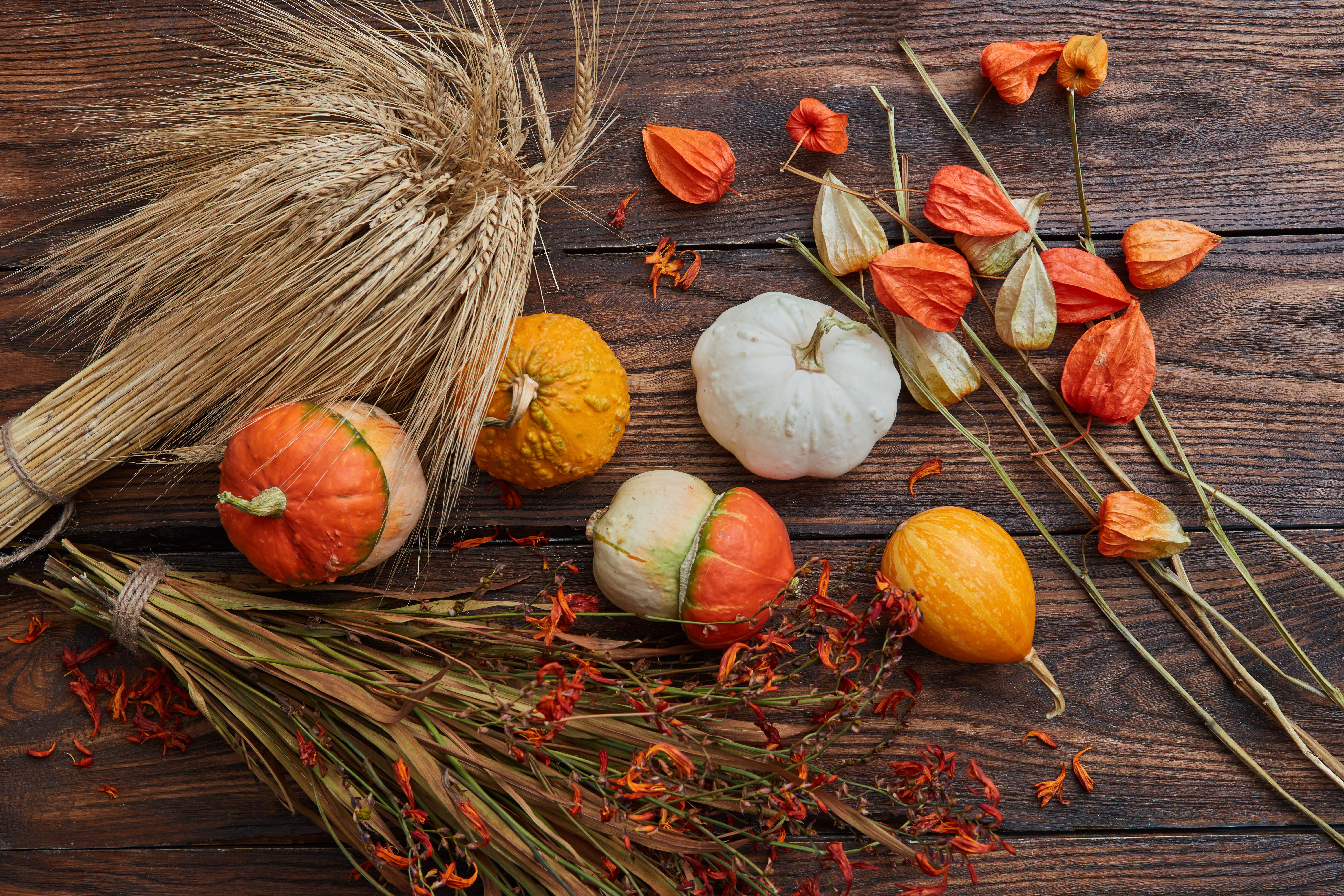 Pumpkins on the Wooden Table · Free Stock Photo