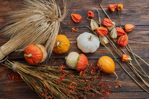 Pumpkins on the Wooden Table