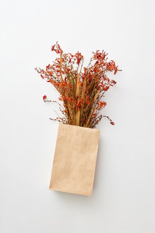 Red Dried Flowers on the Table