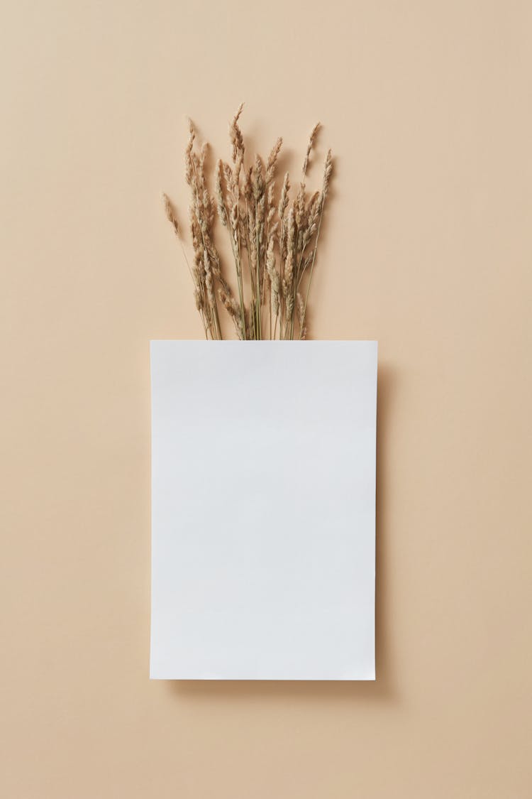 Brown Dried Reeds On The Table