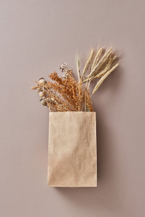 Brown Plant in the Paper Bag