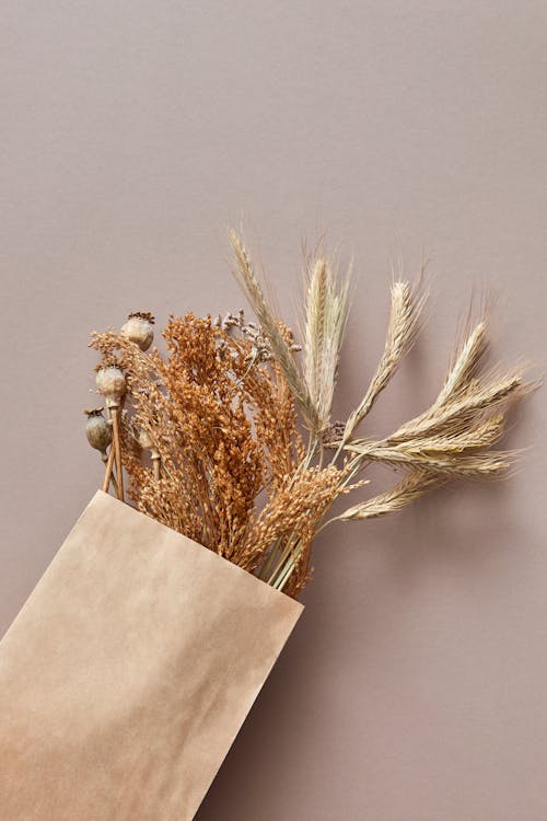 Dried Flowers in the Paper Bag