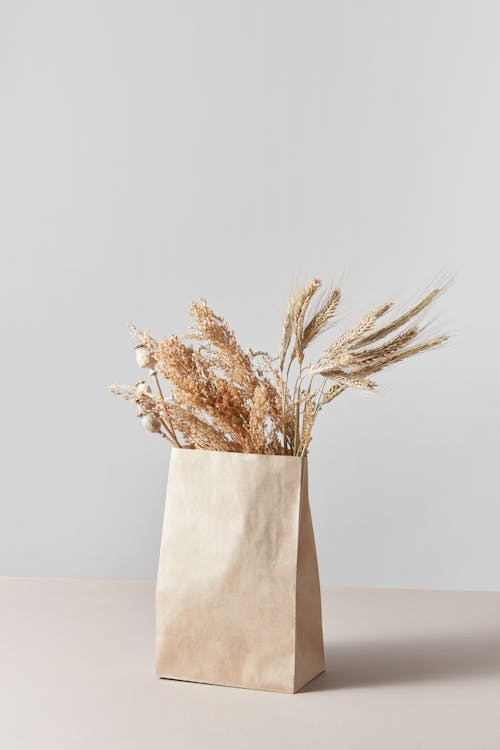 Dried Flowers in the Paper Bag