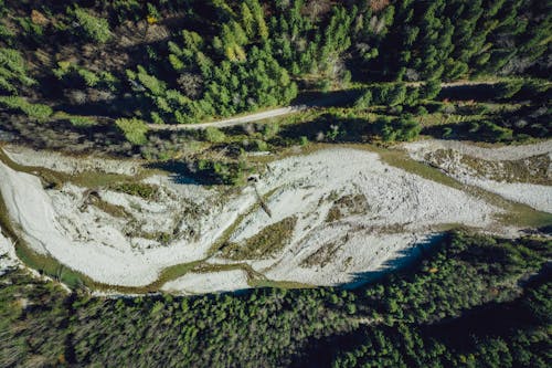 Immagine gratuita di alberi verdi, drone, immagine aerea