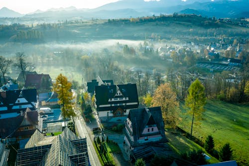 Fog Covering the Houses and Trees 