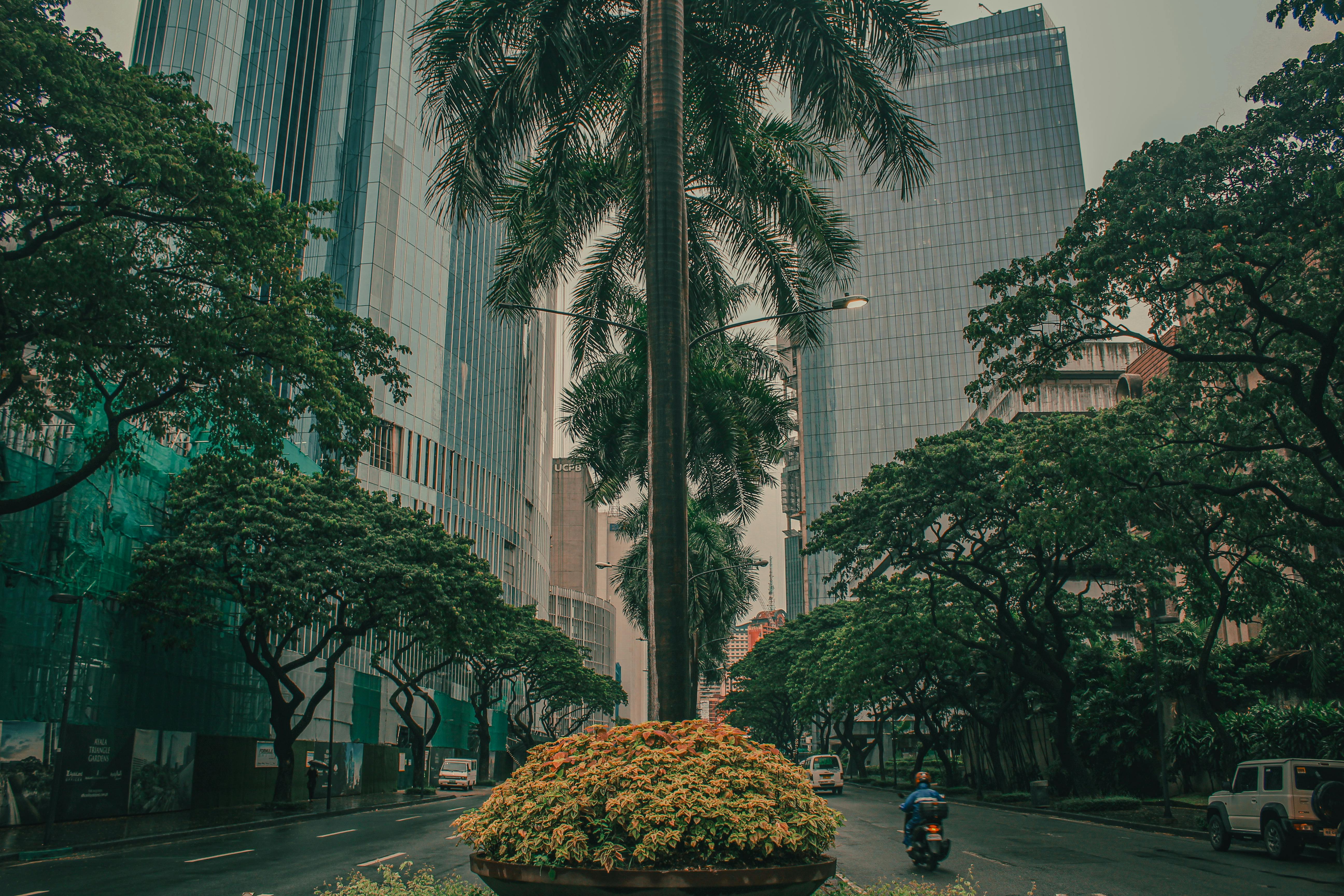 Philippines: CSR strengthening disaster preparedness and neighborhood resilience