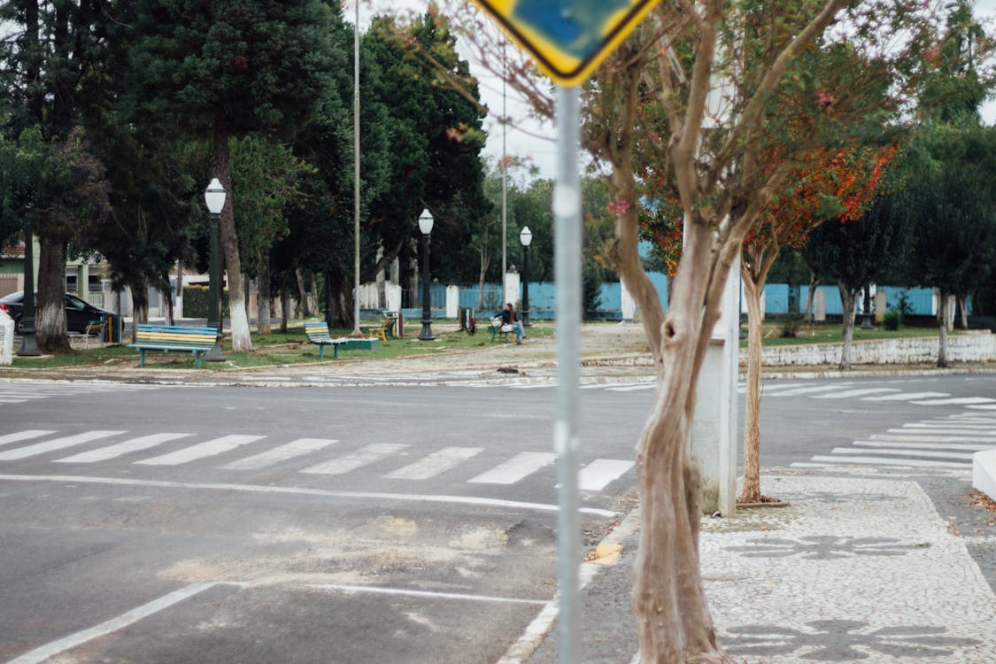 Free stock photo of street