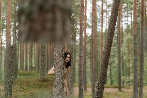 Staring Behind Tree A Person Hiding Behind the Tree · Free Stock Photo