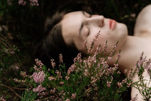 Foto d'estoc gratuïta de camp d'herba, dorment, enfocament selectiu