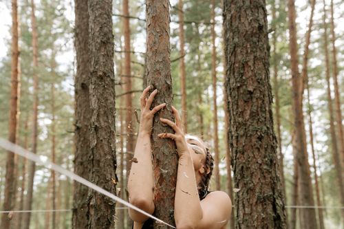Free A serene moment captured of a woman embracing a tree trunk amidst a tall, sunlit forest. Stock Photo