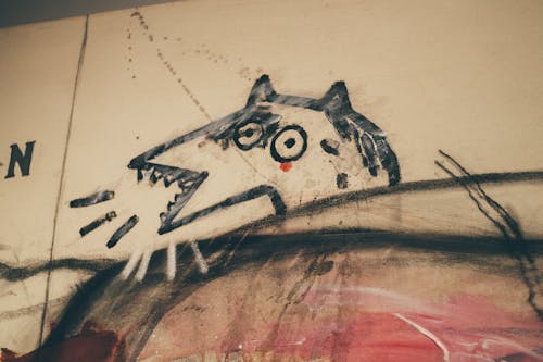 boyama, Kurt, Sanat içeren Ücretsiz stok fotoğraf