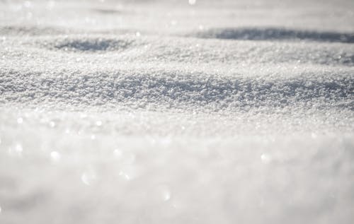 Foto d'estoc gratuïta de blanc, constipat, fons de neu