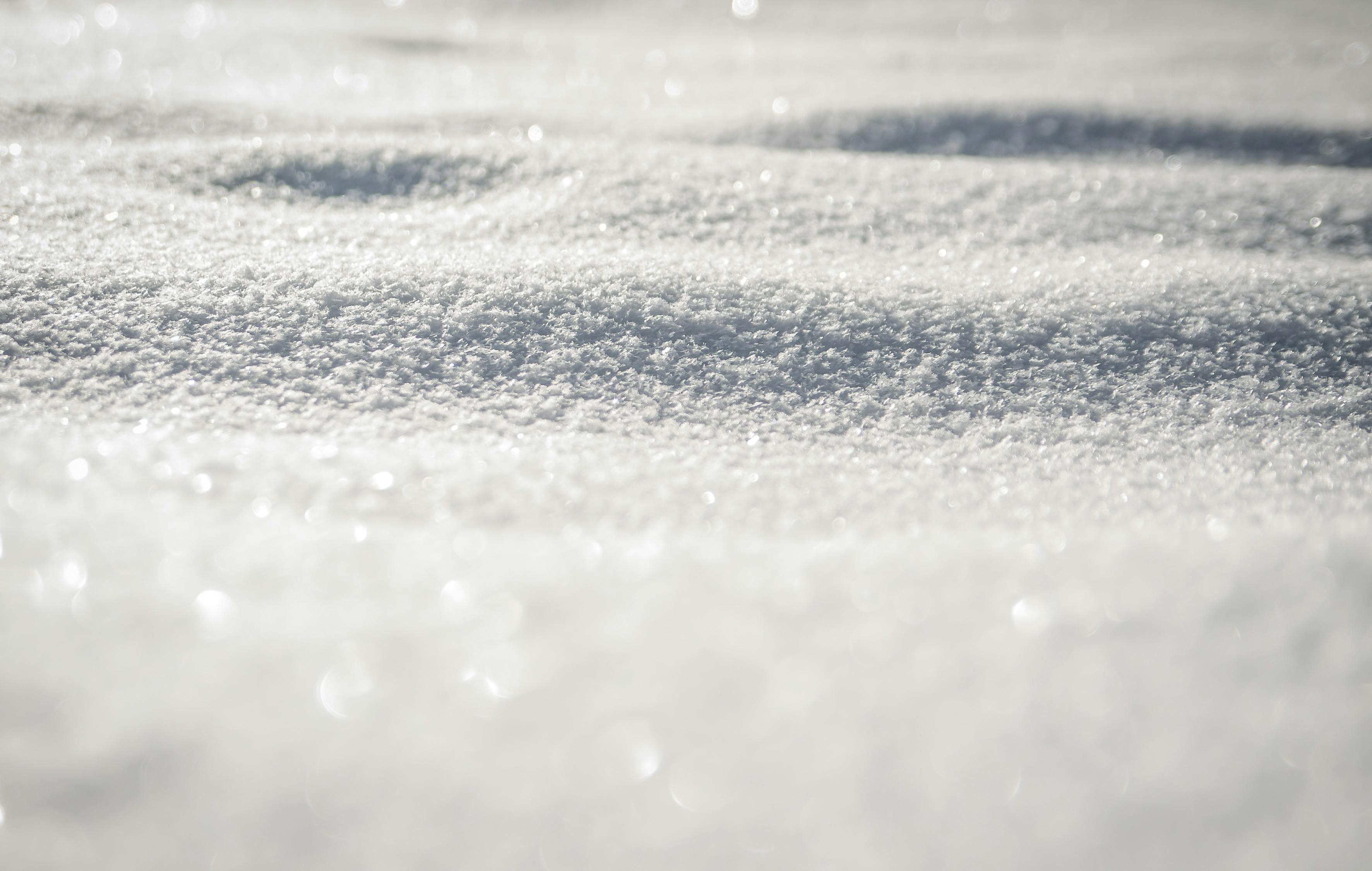 https://images.pexels.com/photos/60561/winter-snow-nature-60561.jpeg?auto=compress&cs=tinysrgb&dpr=3&h=750&w=1260