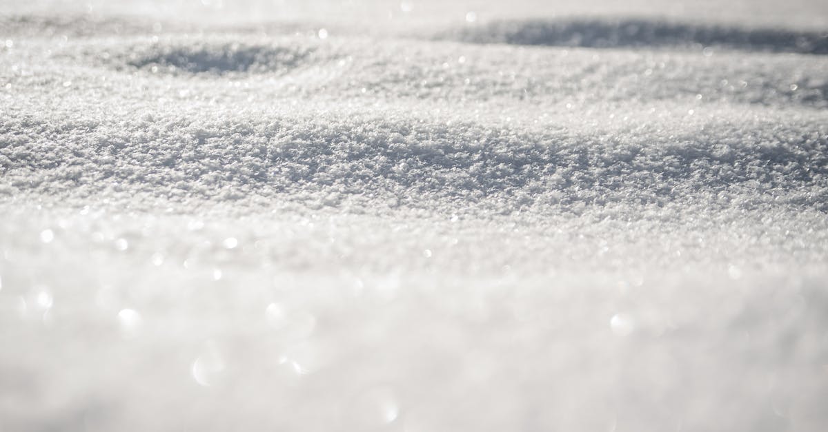 Snow Covered Ground · Free Stock Photo