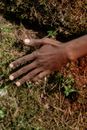 Persons Hand on Green Grass