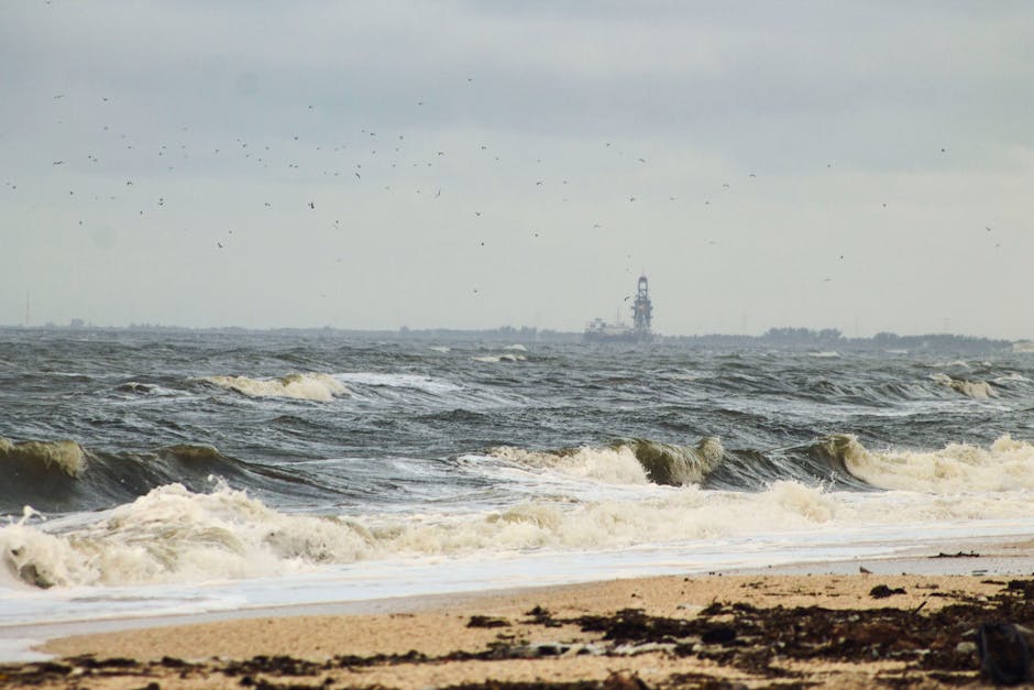 AI 如何拯救墨西哥灣死亡地帶?路易斯安那州立大學最新技術剖析與2026年生態預測 AI 如何拯救墨西哥灣死亡地帶?路易斯安那州立大學最新技術剖析與2026年生態預測