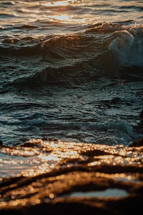 Water Waves on the Shore