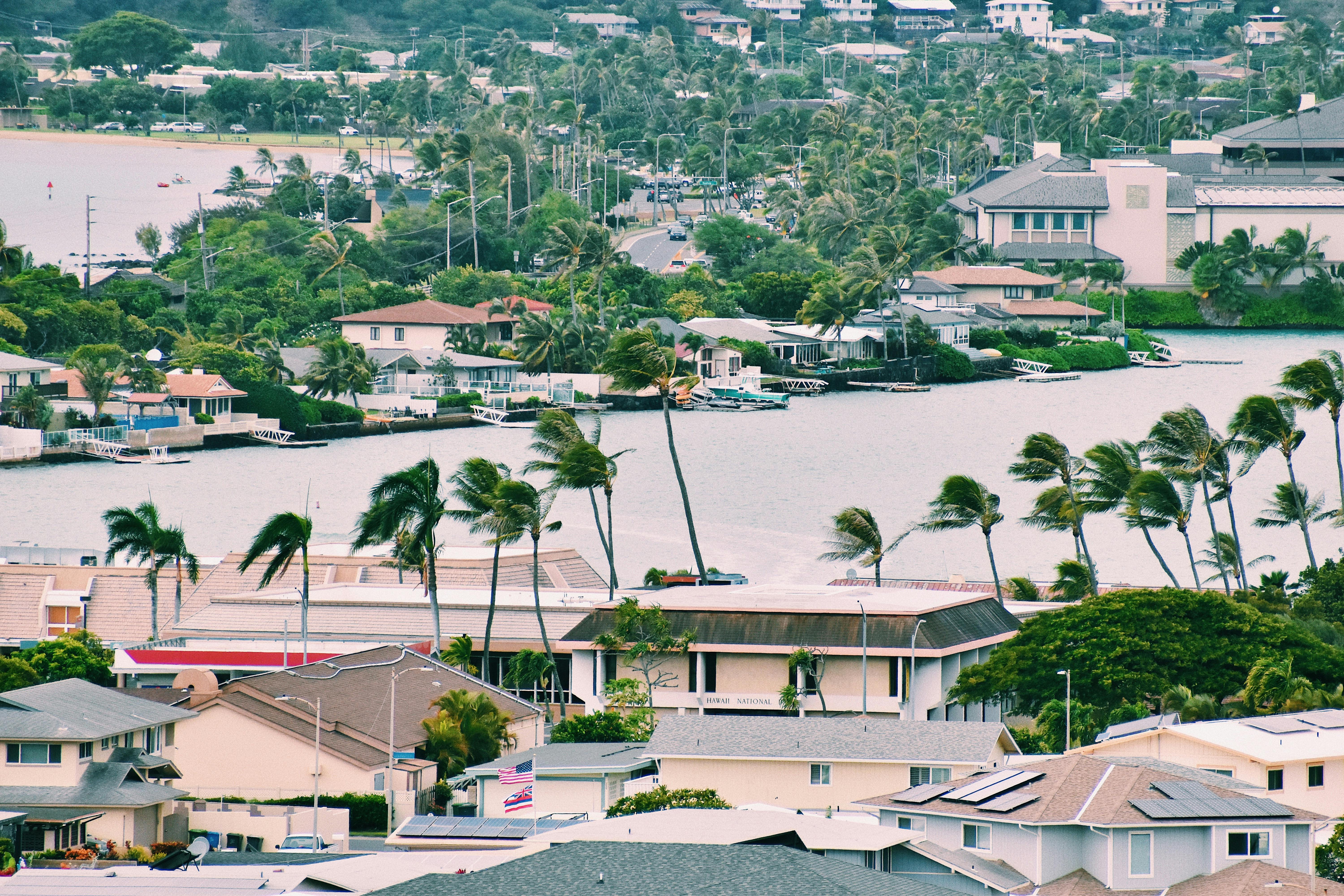 A scenic aerial view of a small town with a river and coconut trees in a windy setting.