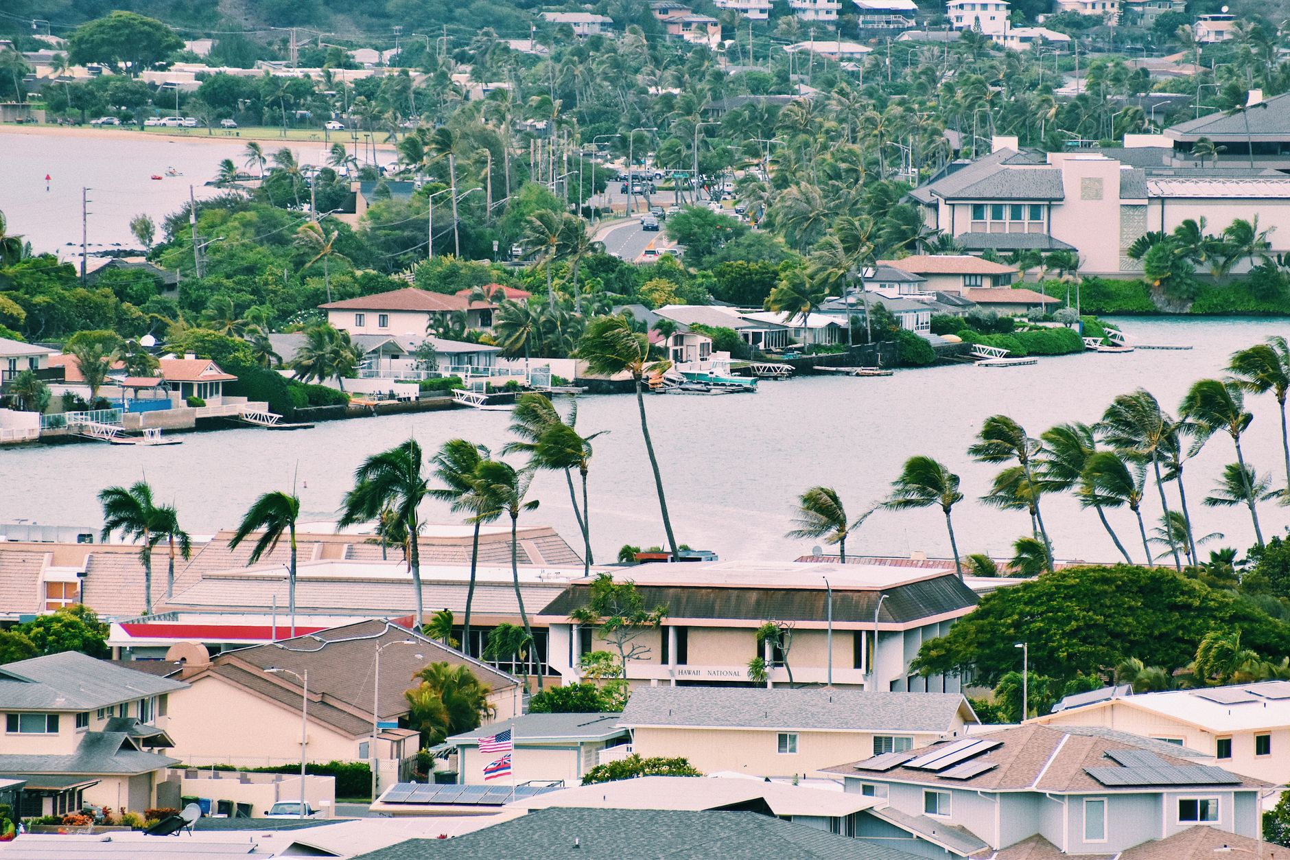 A scenic aerial view of a small town with a river and coconut trees in a windy setting.