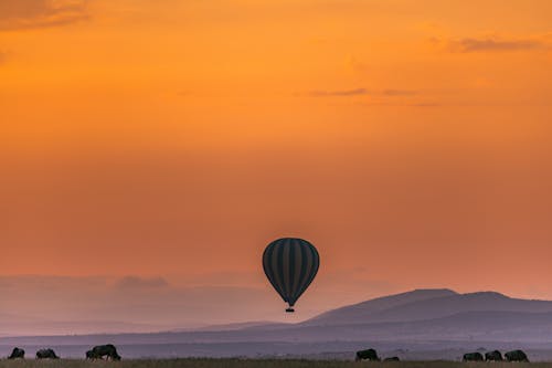 Multicolored air balloon floating against amazing sunset