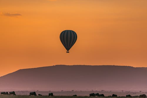 Wild herbivore animals grazing on grassy terrain near mountains against picturesque sunset sky with hot air balloon flying in national park Serengeti Tanzania Africa