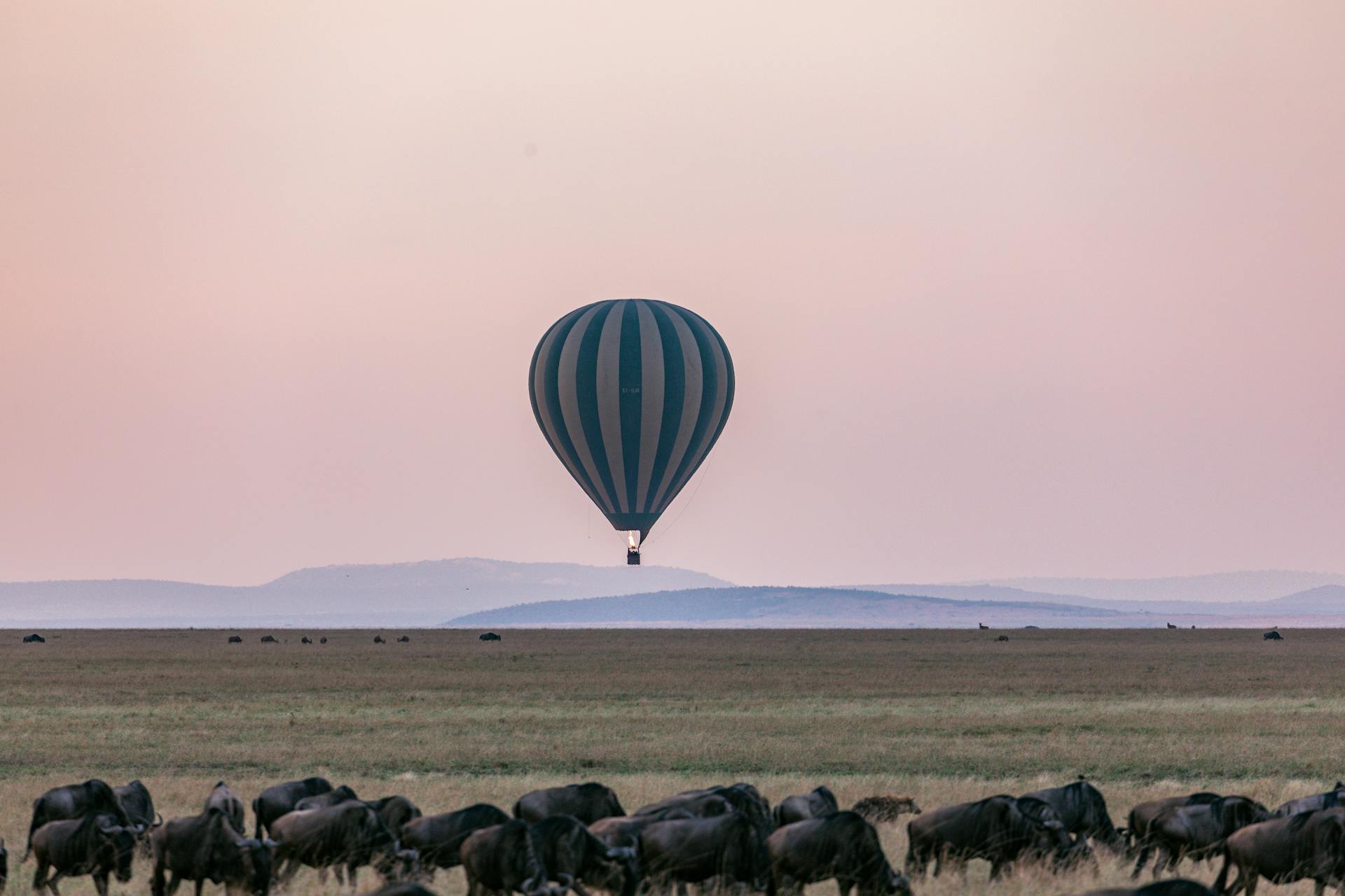 Hot air balloon flying over spacious grassy terrain at twilight